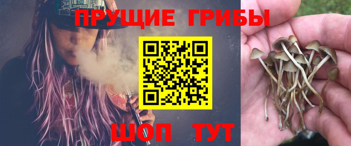 Галлюциногенные грибы Psilocybe  Галлюциногенные грибы мухоморы  где можно купить   Вход с VPN  Серов 
